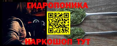 гидра Будённовск